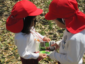 img_20240412-153255.jpg
