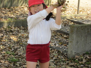 img_20240412-154850.jpg