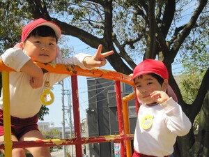 img_20240412-164706.jpg