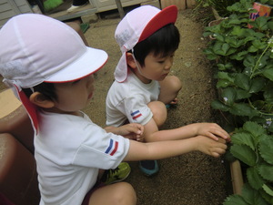 img_20240516-103836.jpg