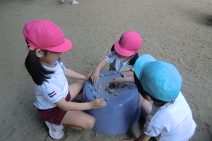 img_20240620-164457.jpg