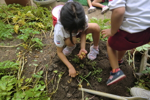 img_20240620-170647.jpg