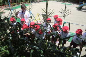 img_20240719-083446.jpg