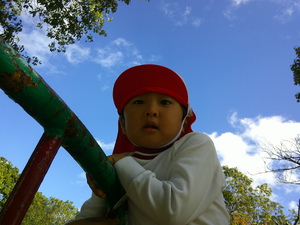 img_20241106-165813.jpg