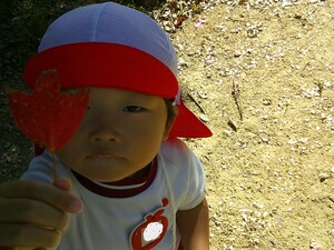 img_20241106-170342.jpg