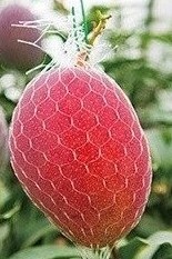 img_20200827-004125.jpg