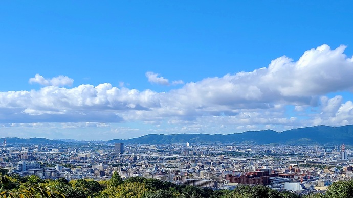 池田遥村　短冊　伏見稲荷山　MH19 絵はがき〈山頭火シリーズ「あすもたたかう歩かせる星がでている