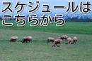 icon_20140425-012536.jpg