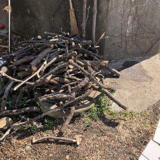 引取り限定！薪柿の木伐採材3トンダンプ1台分