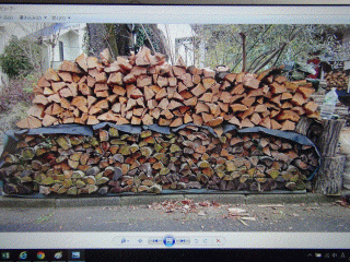 広葉樹 薪 市内アクセス良 トラックで取りに来てまとめて引き取って