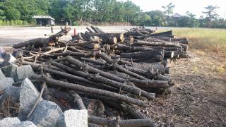 神奈川県近郊の伐採した原木使用の薪、約200Kg