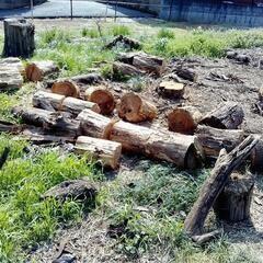 薪・廃材情報（あげます）