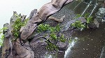 img_20170831-201210.jpg
