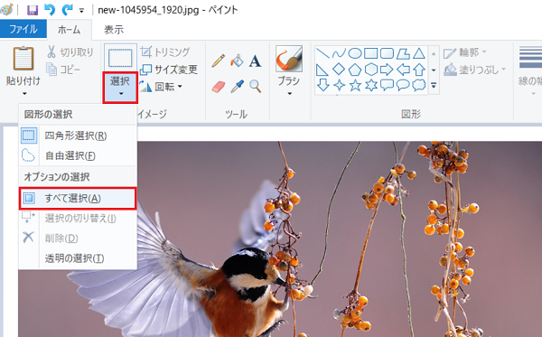 Kamechan5 Windows10 ペイントの使い方 Windows10 ペイントの使い方 余白を消す