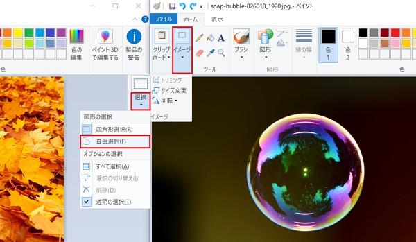 Kamechan5 Windows10 ペイントの使い方 Windows10 ペイントの使い方 自由選択を使う