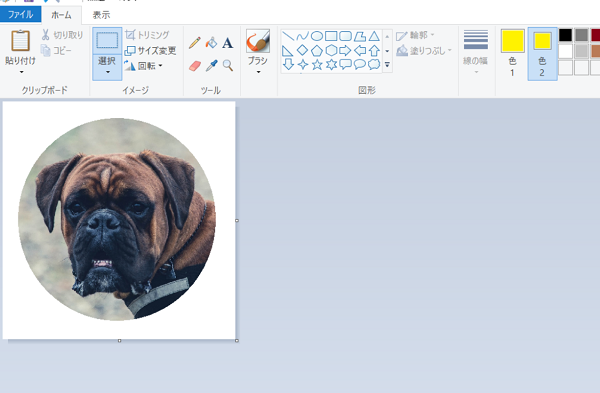 Kamechan5 Windows10 ペイントの使い方 Windows10 ペイントの使い方 画像を丸型に切り取る