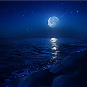 月夜の湖