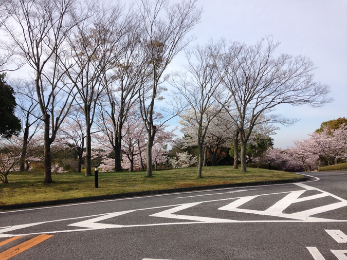 img_20160407-111025.jpg