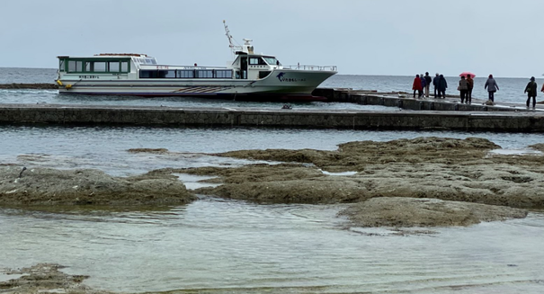img_20191118-010326.png