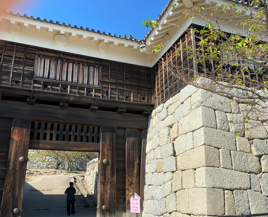 img_20221018-210957.png