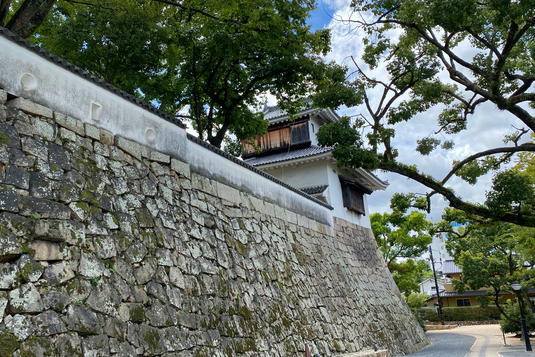 img_20230901-091051.png