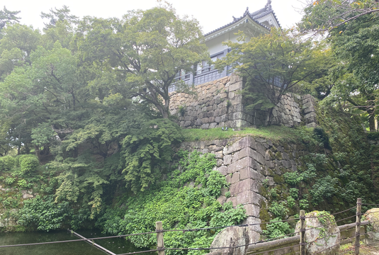 img_20230911-015943.png
