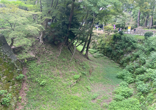 img_20230911-020252.png
