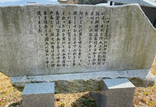 img_20240320-170455.png