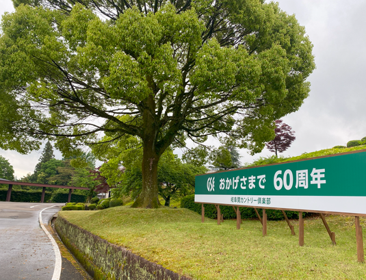 img_20240525-101048.png