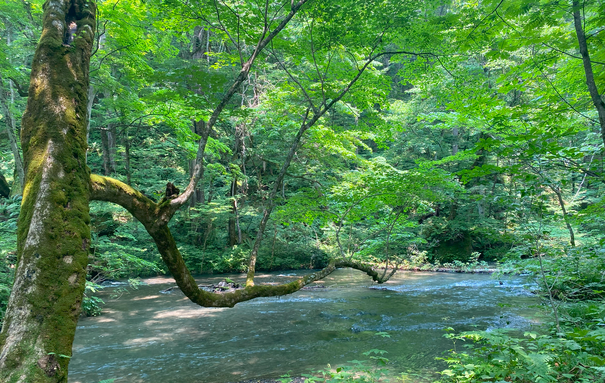 img_20240717-115209.png