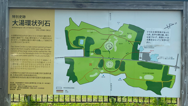 img_20240717-115410.png