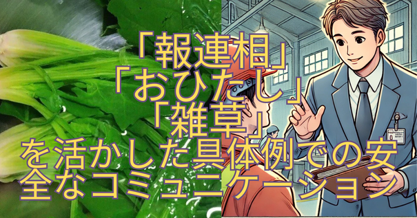 img_20241022-083406.png