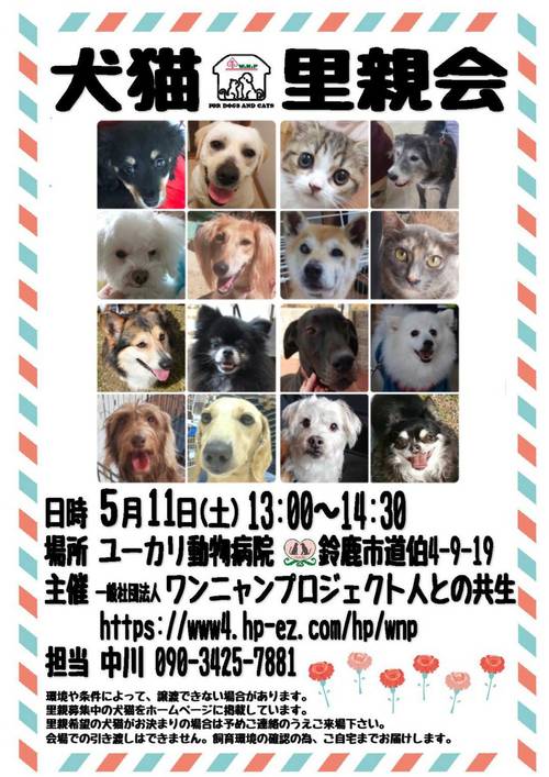 里親会@ユーカリ動物病院