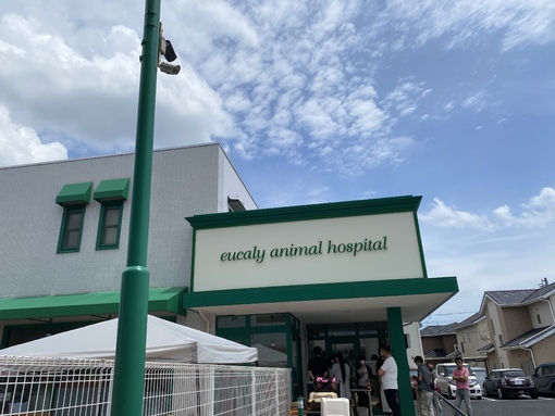 里親会 ユーカリ動物病院 ご報告