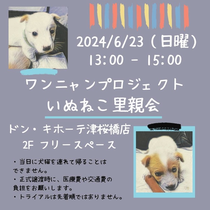 W・N・P(ワンニャンプロジェクト）人との共生 ブログ