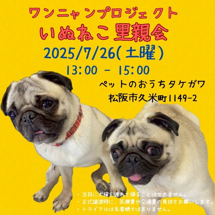 W・N・P(ワンニャンプロジェクト）人との共生 ブログ