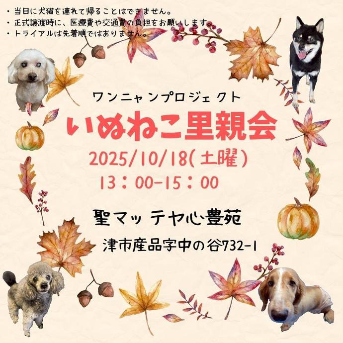 W・N・P(ワンニャンプロジェクト）人との共生 ブログ