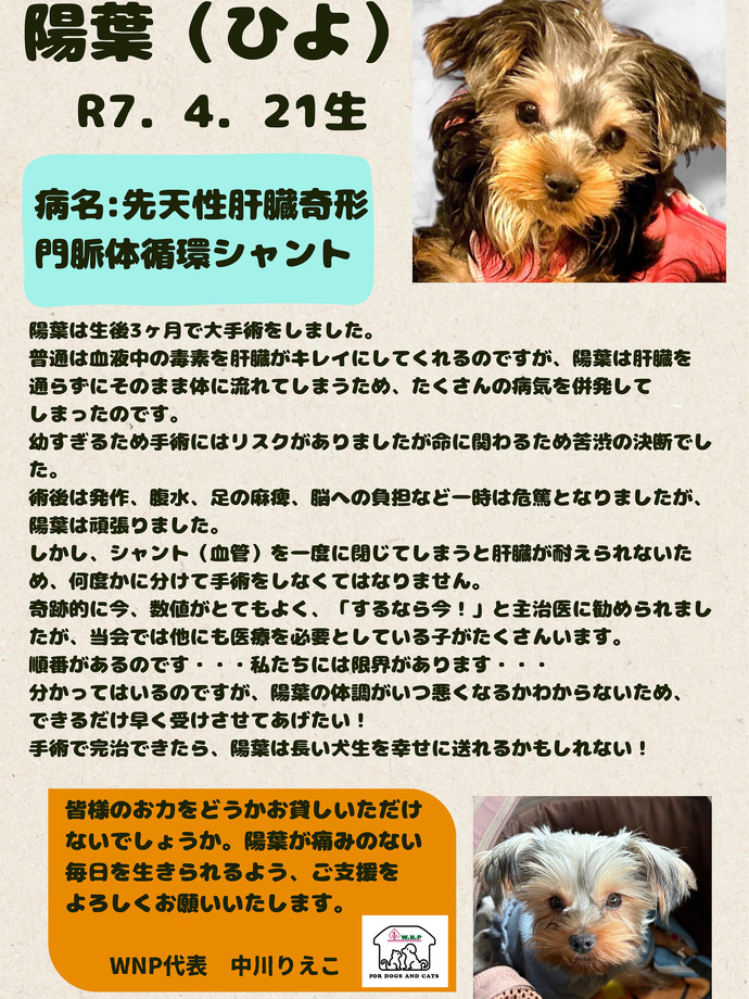 W・N・P(ワンニャンプロジェクト）人との共生 ブログ