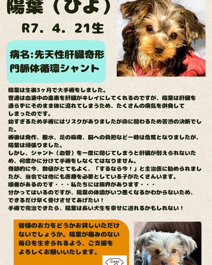 W・N・P(ワンニャンプロジェクト）人との共生 ブログ