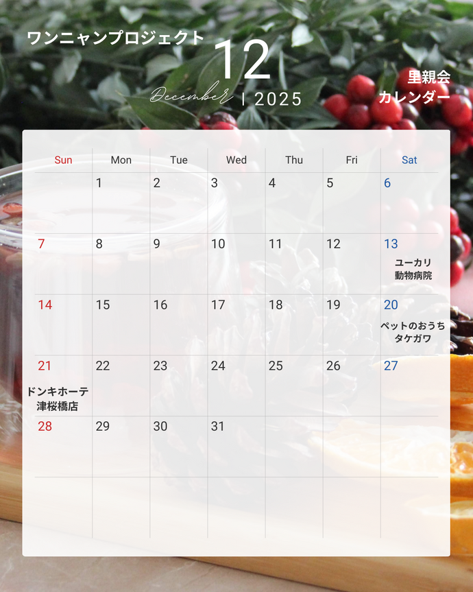 W・N・P(ワンニャンプロジェクト）人との共生 ブログ