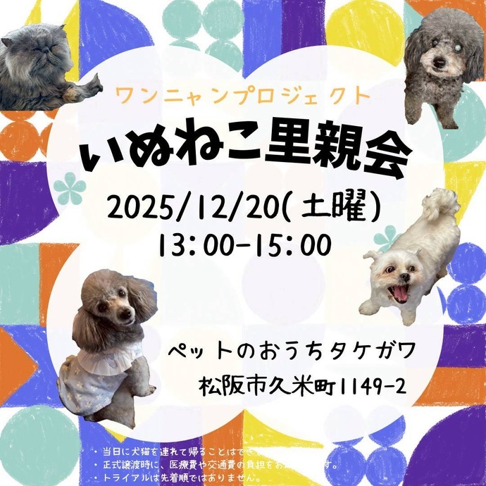 犬様お引き合い分です。 W・N・P(ワンニャンプロジェクト）人との共生 ブログ
