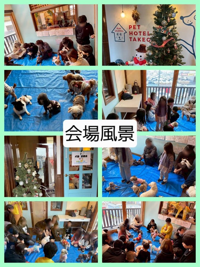 8匹わんこの大家族様 W・N・P(ワンニャンプロジェクト）人との共生 ブログ