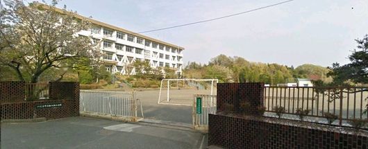 img_20130722-214330.jpg