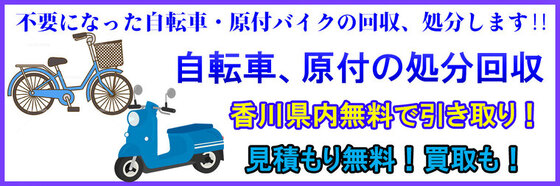 img_20250305-124304.jpg