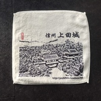 上田城　ふわミニタオル
