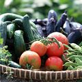 野菜