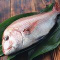 魚