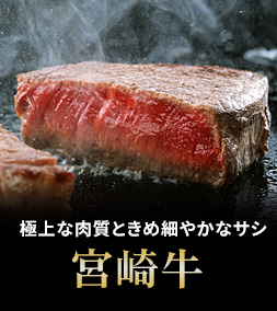 宮崎牛