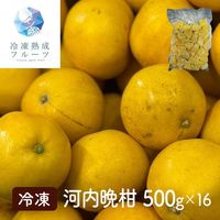 河内晩柑 500g×16パック / 冷凍フルーツ デザート みかん ミカン オレンジ 国産