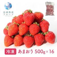 あまおう 500g×16パック / 冷凍フルーツ デザート 苺 いちご イチゴ 国産